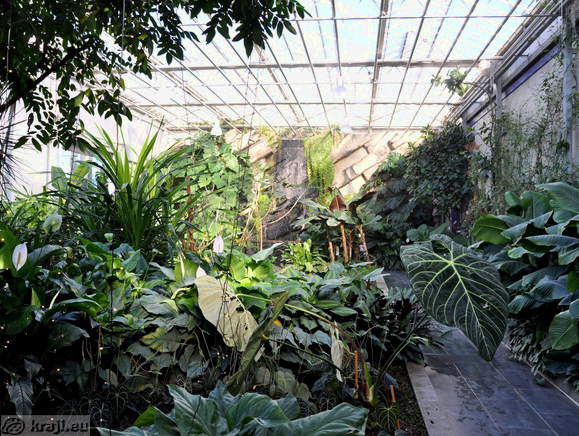 Tropical Garden at Dobrovnik