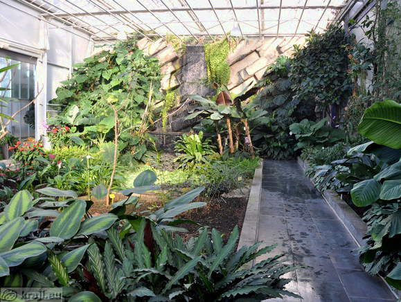 Tropical Garden