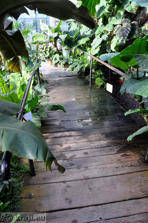 Footbridge at waterfall