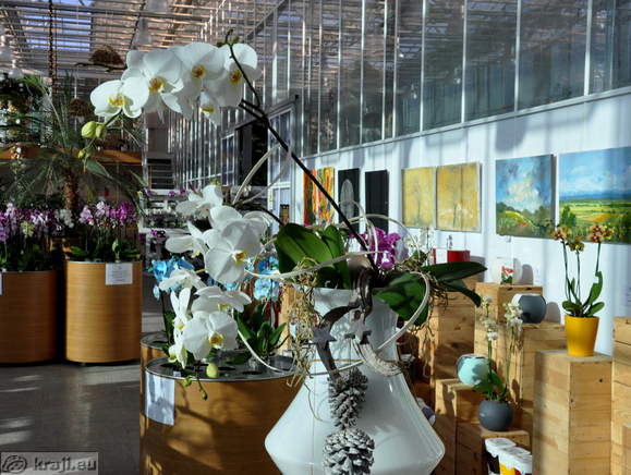 Tropical Garden - Shop