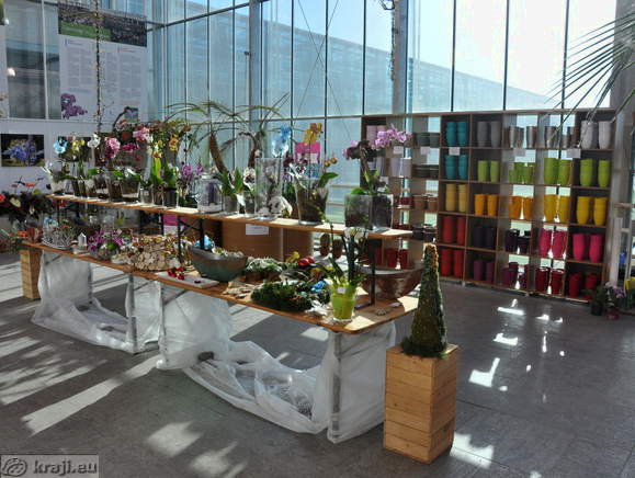 Shop