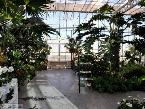 Path through Tropical Garden