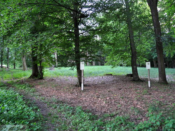 Path through the park