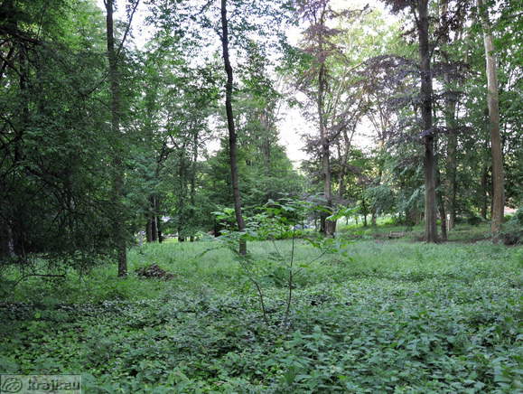 Park in front of the Matzenau Manor