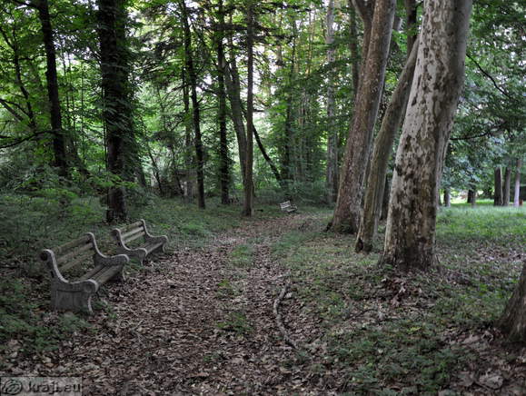 Benches along the way in the Matzenau Park