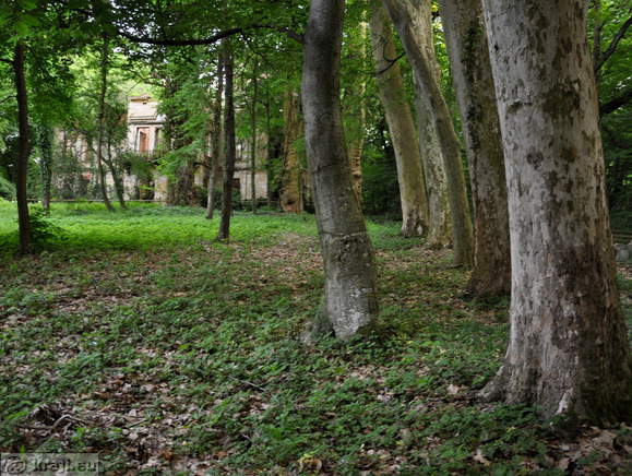 Forest Educational Trail Matzenau Manor