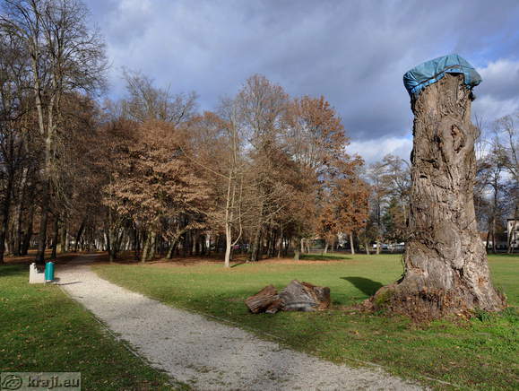 Pot po parku od dvorca Rakičan do kapele