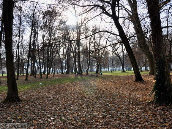 Rakičan - Park