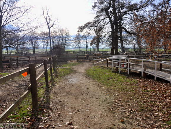 Rakican - Reitverein