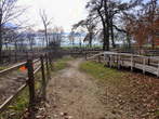 Equestrian club - Path between paddocks 