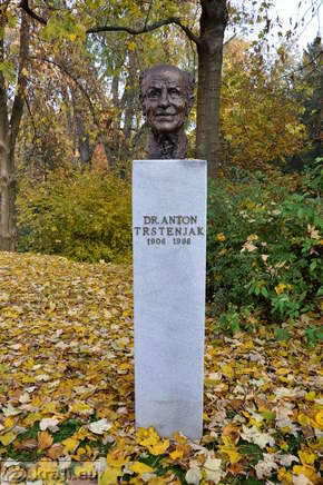 Bust - Anton Trstenjak (1906 - 1996) Bust - Anton Trstenjak (1906 - 1996)