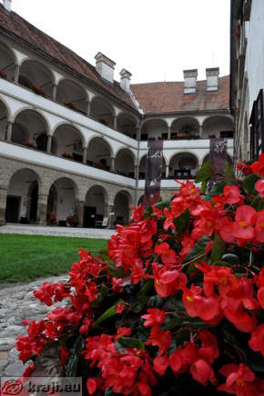 Cvetje z osrednjim platojem