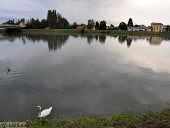 Ptuj - Dravska ulica (Drava Straße)