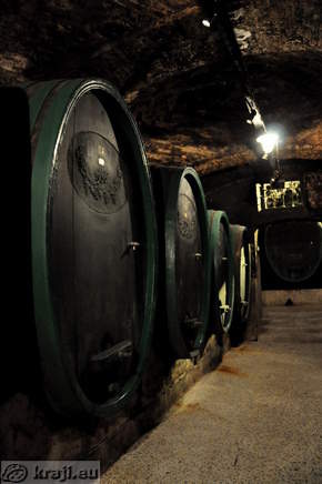 Barrels in the Wine Cellar Ptuj