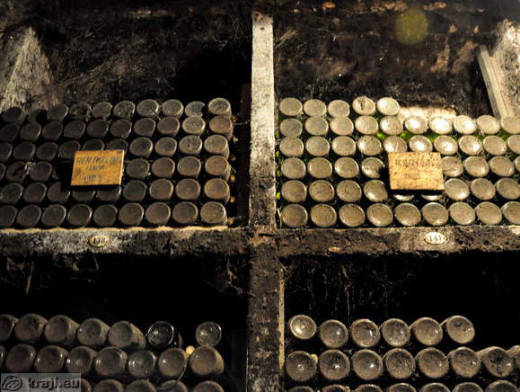 Dusty bottles in the wine archive