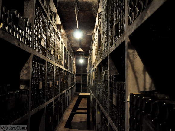 Bottles in the wine archive