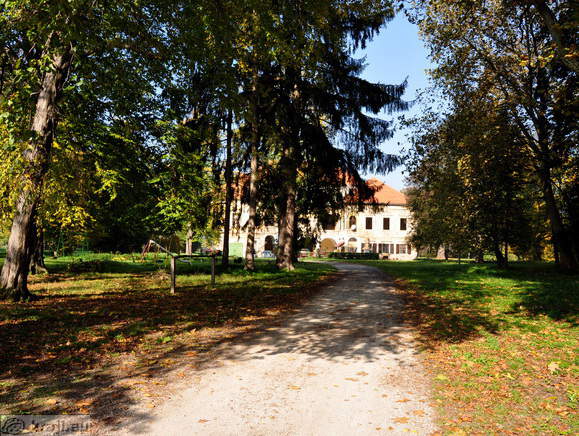 Cesta do gradu Turnišče Cesta do gradu Turnišče