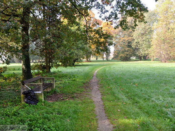 Krožna pot po parku