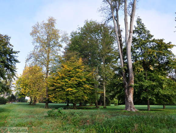 V parku prevladuje bukev, gaber, jesen in lipa