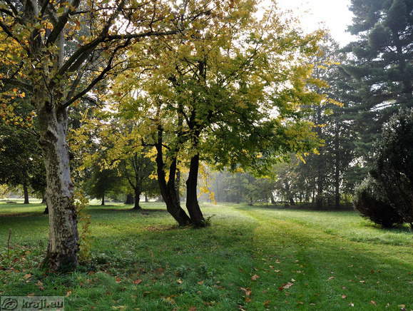 Park v rahli jesenski megli