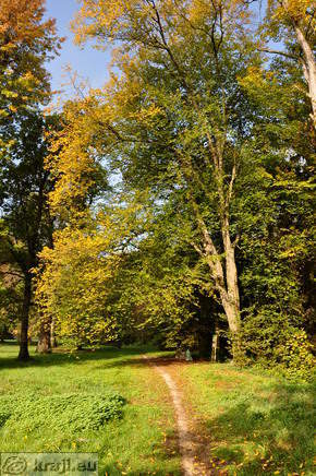 Pot po parku pri gradu Turnišče