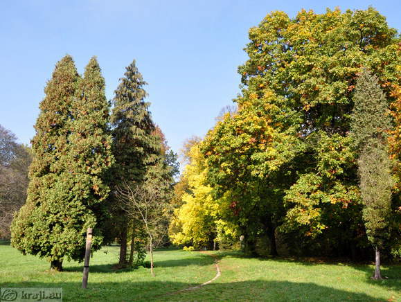 Grajski park pri gradu Turnišče jeseni