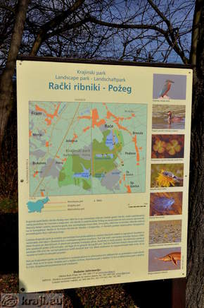 Information board - Landscape Park Race Ponds - Pozeg