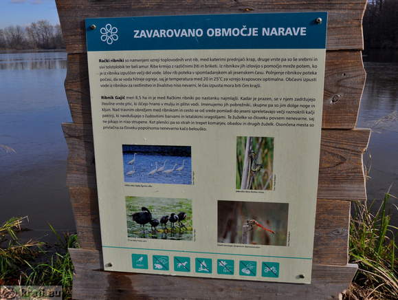 Information board - Race Ponds