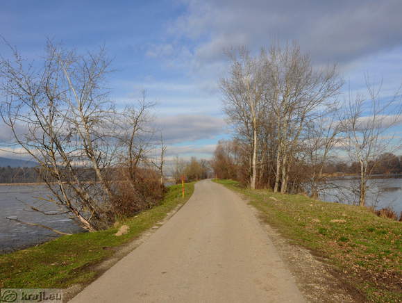 Landscape Park Race Ponds - Pozeg