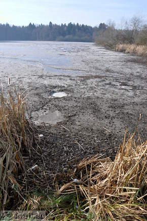 Teiche Racki ribniki - Kleiner Teich