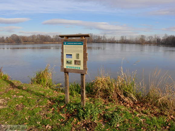 Teiche Racki ribniki - Gajic Teich