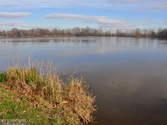 Teiche Racki ribniki - Gajic Teich