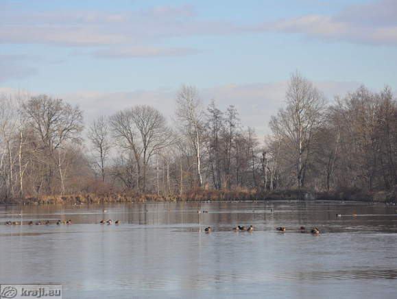 Teiche Racki ribniki - Gajic Teich