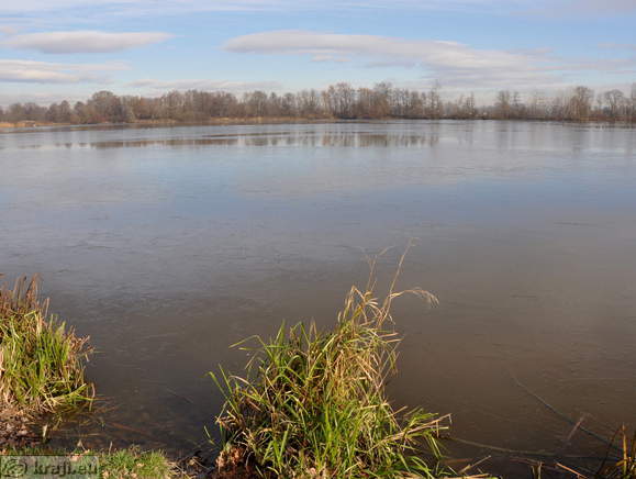 Teiche Racki ribniki - Gajic Teich