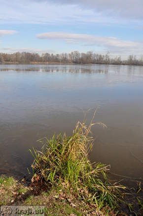 Teiche Racki ribniki - Gajic Teich
