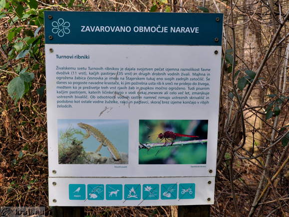 Information board - Turn Ponds - Fauna