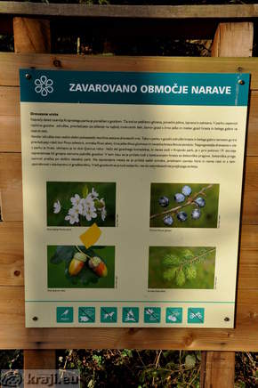 Information board - Turn Ponds - Species