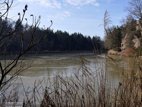 Turn Ponds - Middle Pond