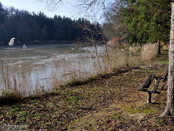 Middle Pond <br> Path along of the Middle Pond
