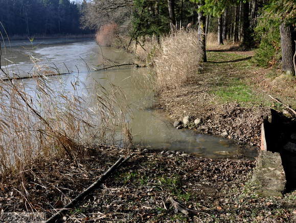 Middle Pond <br> Small outflow from the Middle Pond