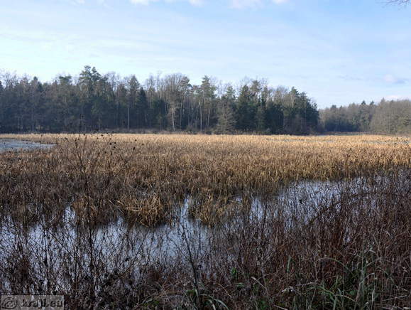 Krajinski park Rački ribniki-Požeg - Turnovi ribniki
