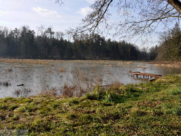 Turnovi ribniki - Prvi ribnik