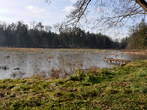 Turntajht - Turn Ponds - First pond 