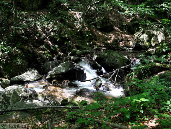 Bistrica Schlucht