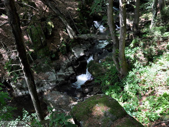 Bistrica Schlucht