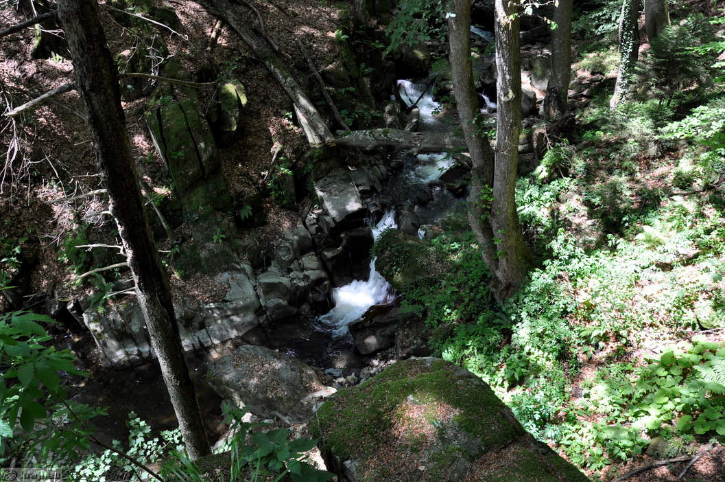 Bistrica Schlucht - Foto: 3320-17 Bistrica Schlucht