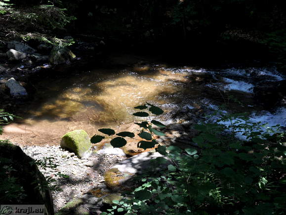 Bistrica Schlucht