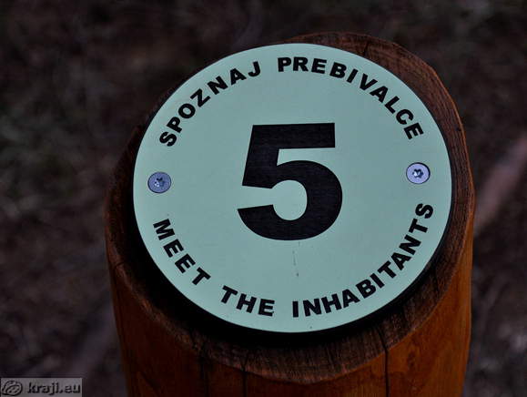 5 - Spoznaj prebivalce
