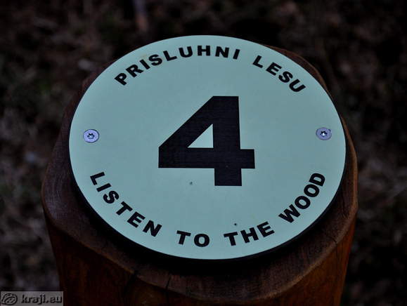 4 - Prisluhni lesu