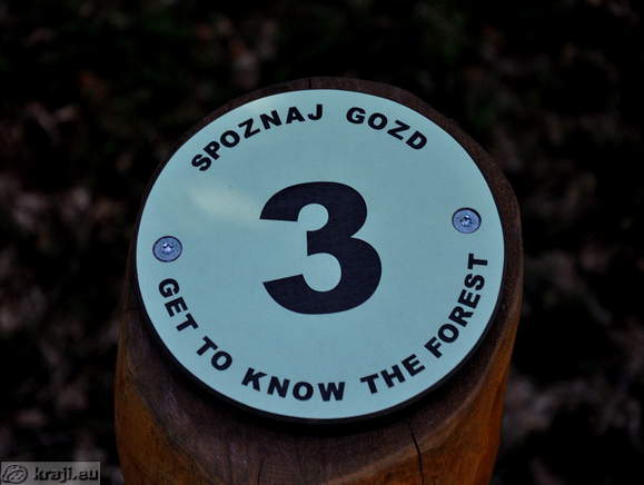 3 - Spoznaj gozd